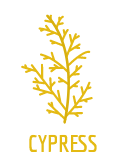 Cypress TLC